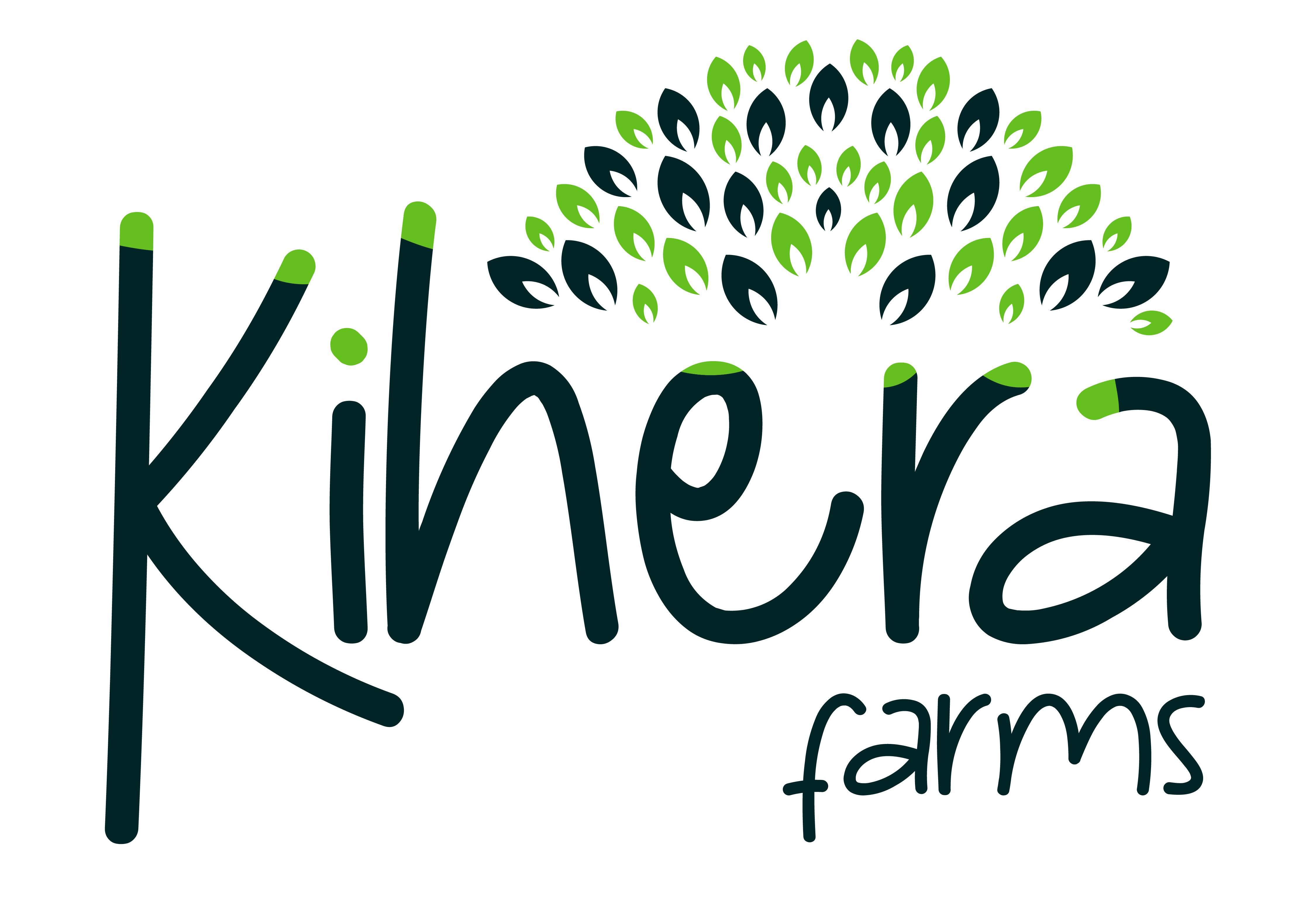 Kihera Farms